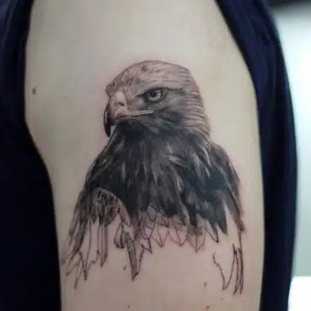 Tetování zvířata, pták, orel na rameni