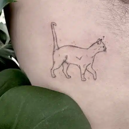 Tetování symbol, zvíře kočka na bok žeber
