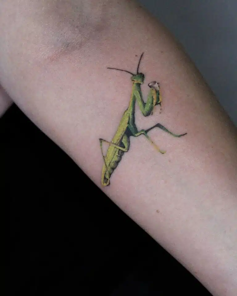 Tetování zvířata, kudlanka na předloktí
