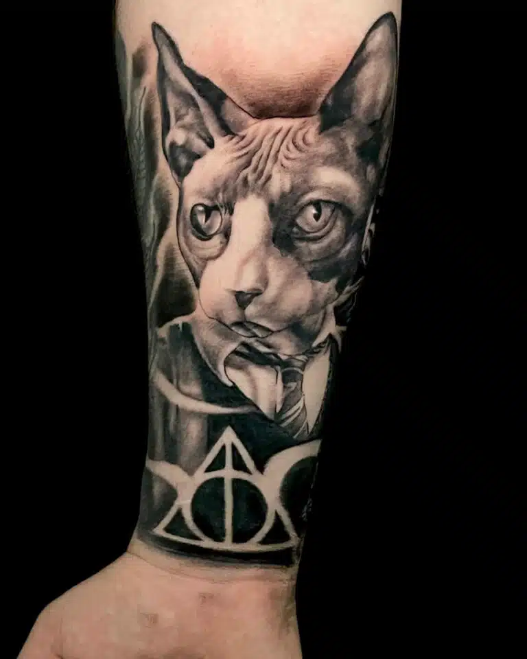 Tetování zvíře kočka z filmů a pohádek Harry Potter, znaky a symboly na předloktí