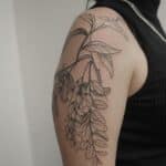 Apa ink tatérka.