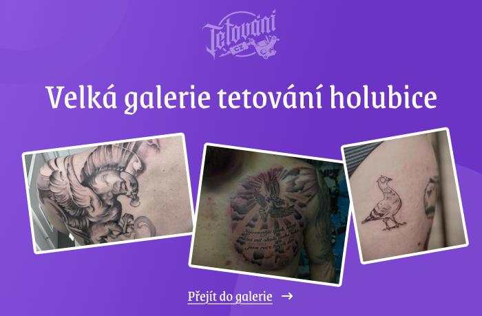  tetovaní holubice galerie 1