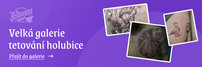 tetovaní holubice galerie 2