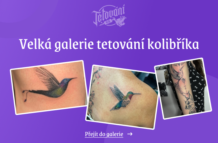  tetovaní kolibříka galerie 1