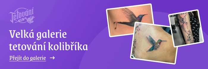  tetovaní kolibříka galerie 2