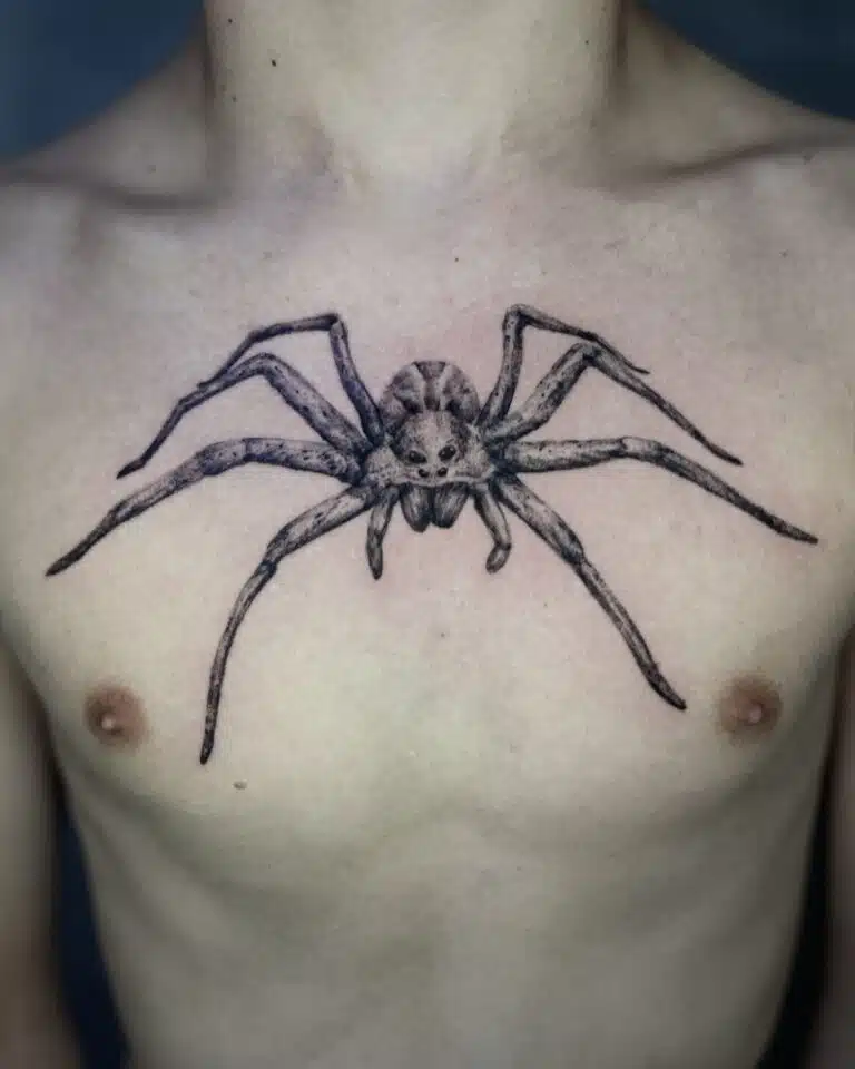 Tetování zvíře, pavouk na hrudi