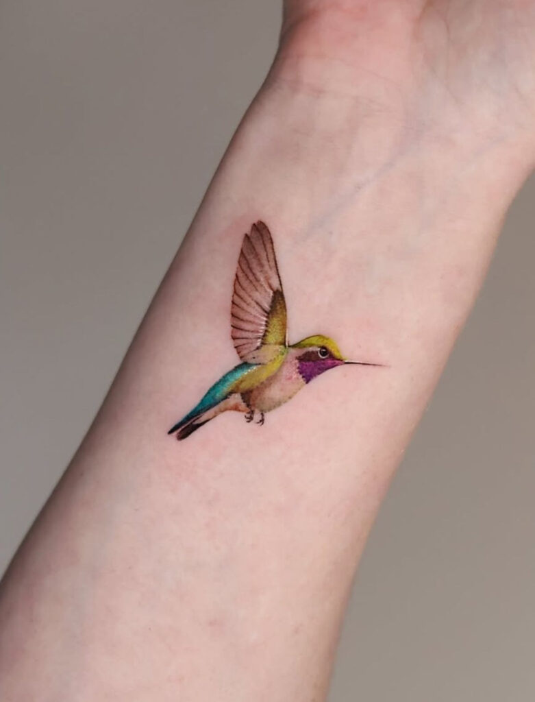 Barevný kolibřík na ruce.