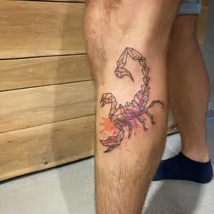 Tetování zvíře, štír, škorpion na lýtku