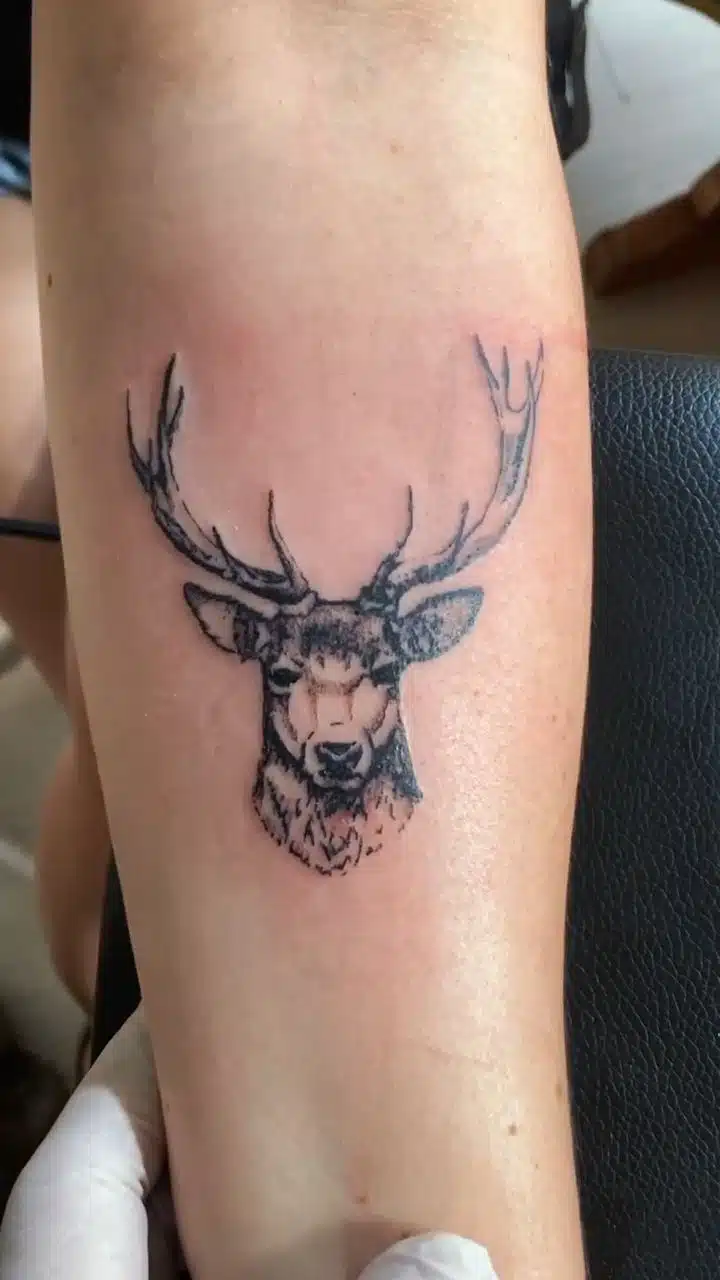 Tetování zvíře jelen na holeň
