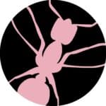 Minimaltattoo praha studio.