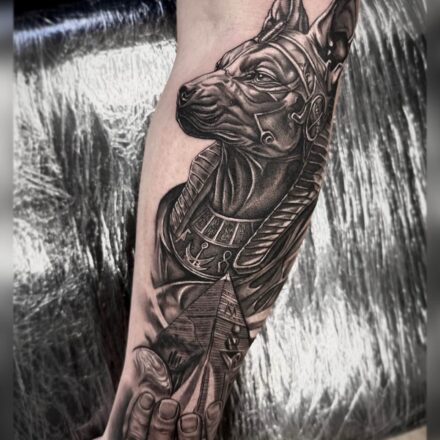 Kraliček na cracku tatérka.