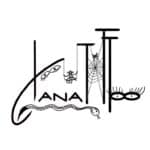 janatattoodvorakova tatérka