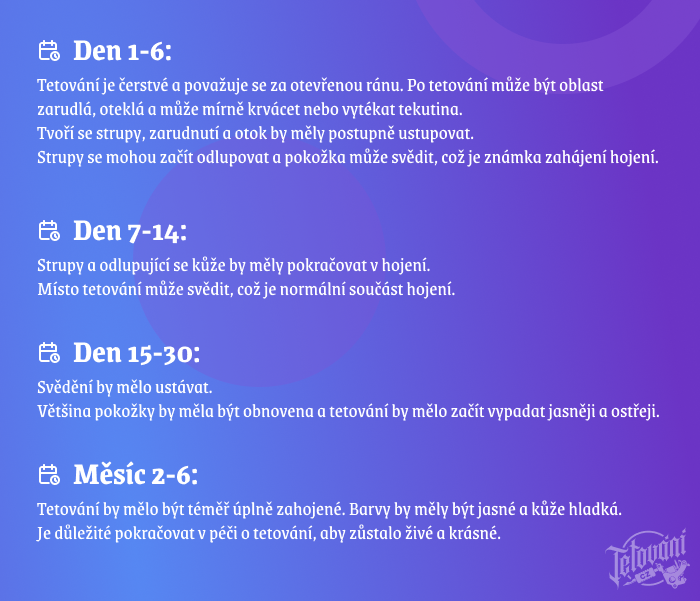 Proces hojení tetování