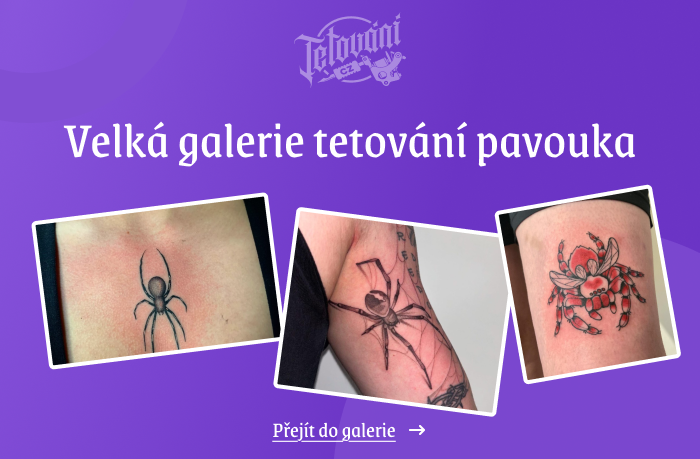  tetovaní pavouka galerie 1