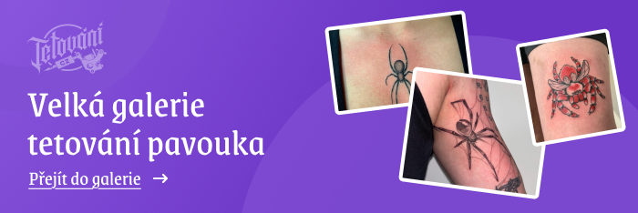  tetovaní pavouka galerie 2