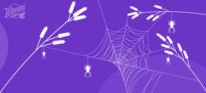 Význam tetování pavouka