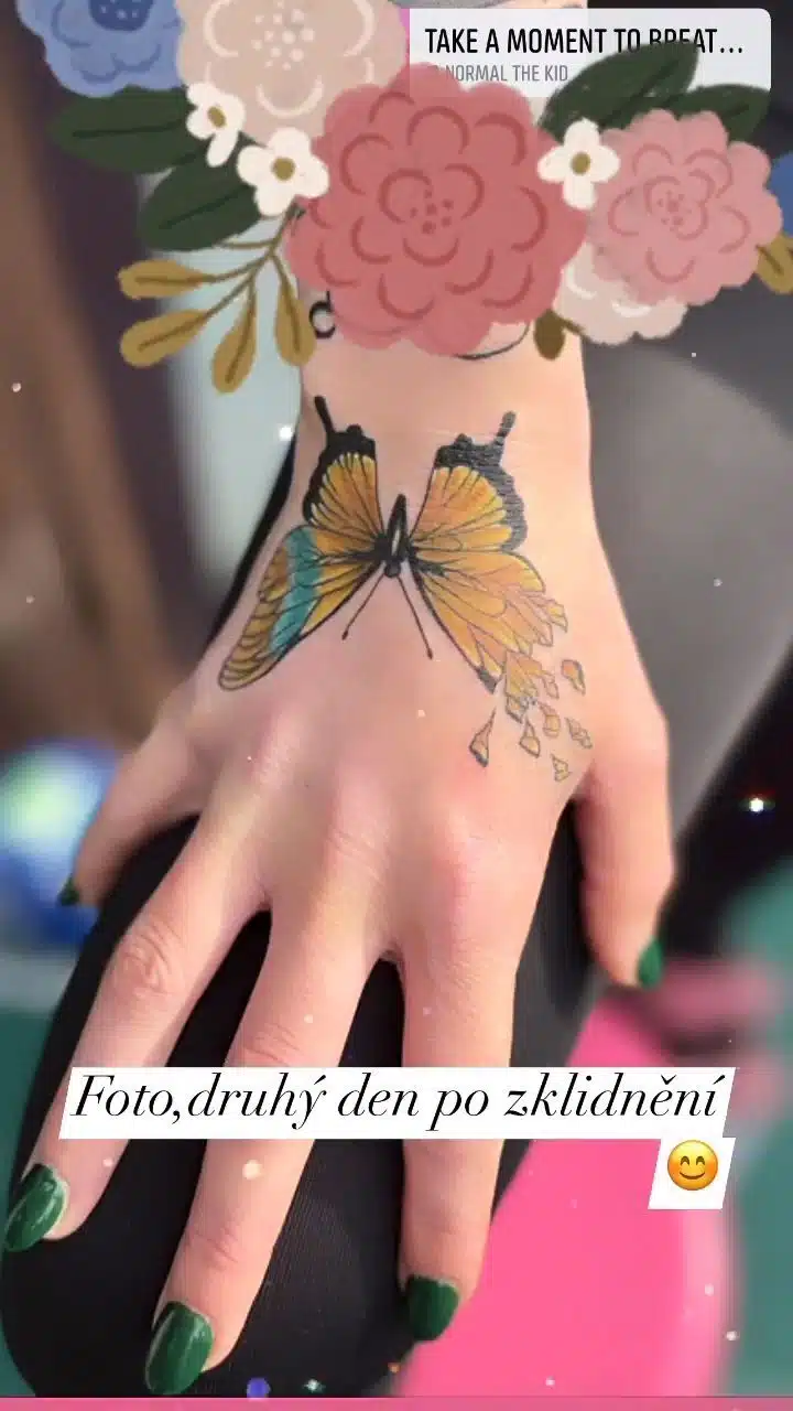 Tetování zvíře, motýl na hřbetu ruky