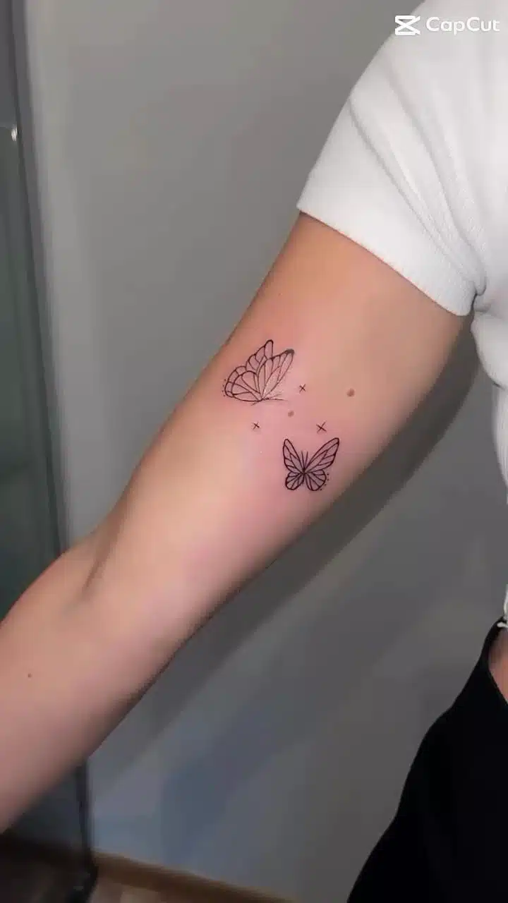 Tetování zvířata, motýlci na paži