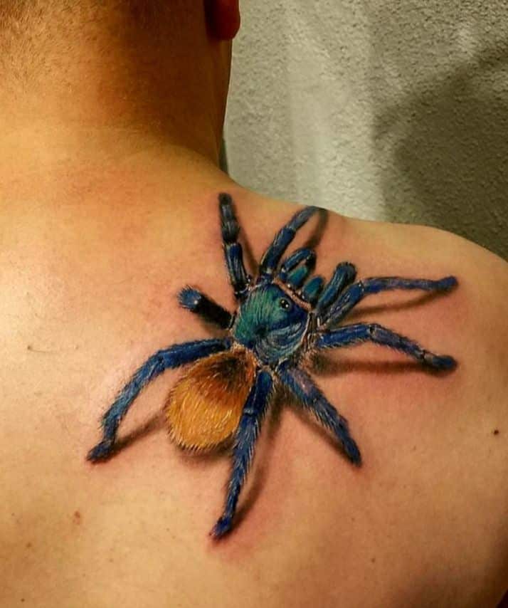 Tetování tarantule na rameni.