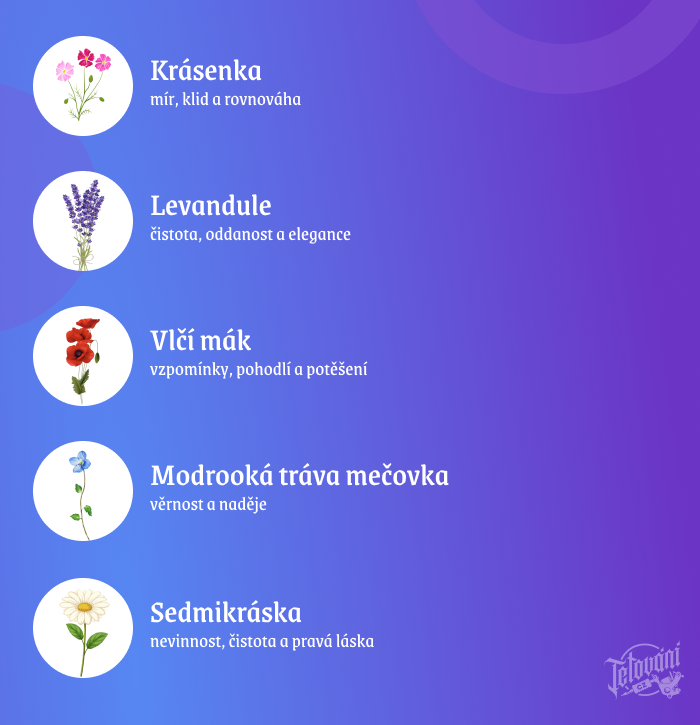 Vyznam lucniho kviti