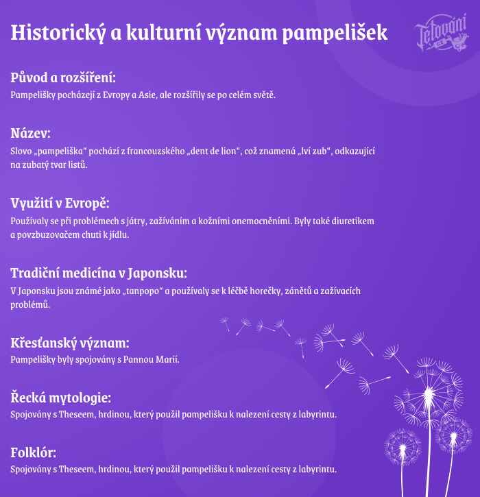 Pampeliska historie a kulturni vyznam