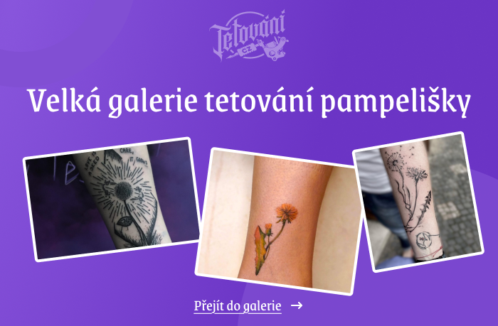  tetovaní pampelišky galerie 1