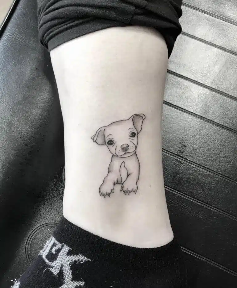 Tetování zvíře pes na kotník