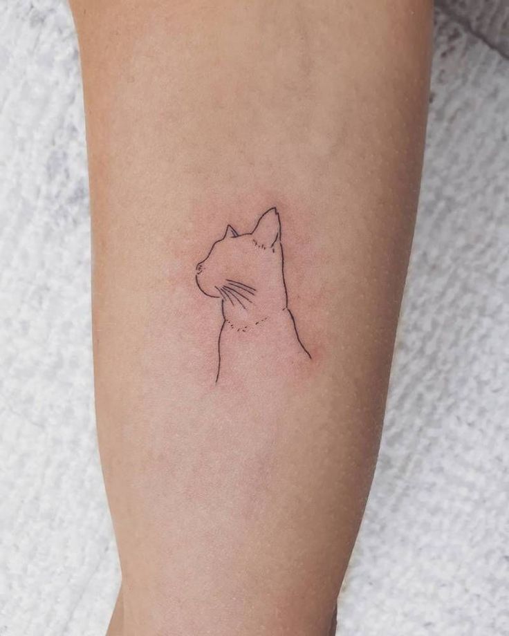 Minimalistické tetování kočky.