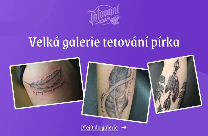  tetovaní pírka galerie 1