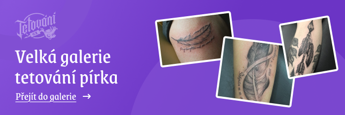  tetovaní pírka galerie 2