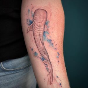 Moholatattoo