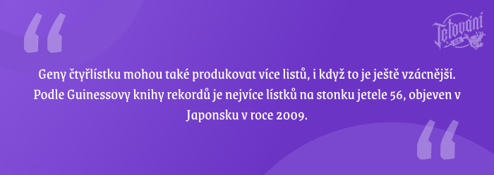 Historie čtyřlístku