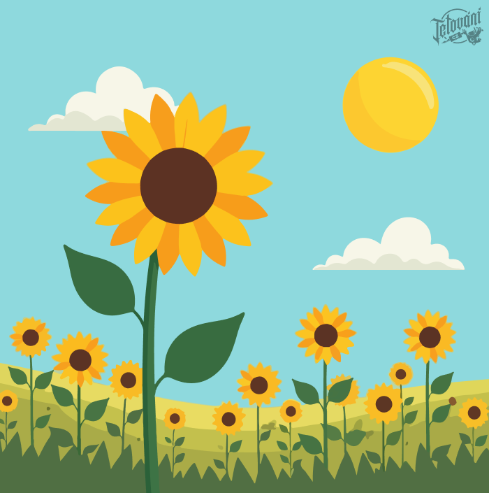  Původ slunečnice v řecké mytologii