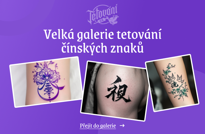  tetovaní čínských znaků galerie 1