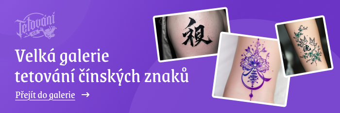 tetovaní čínských znaků galerie 2