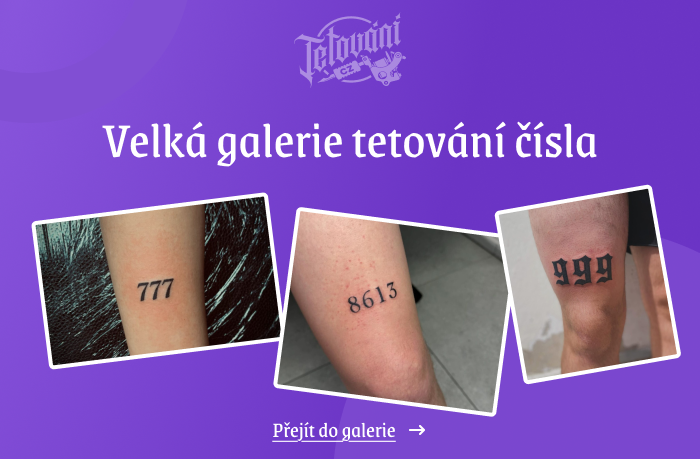  tetovaní čísla galerie 1
