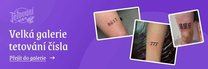  tetovaní čísla galerie 2