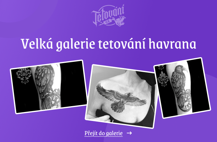  tetovaní havrana galerie 1