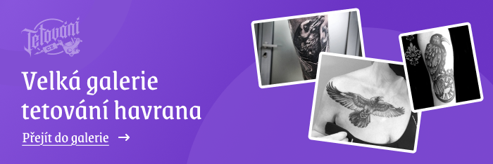  tetovaní havrana galerie 2
