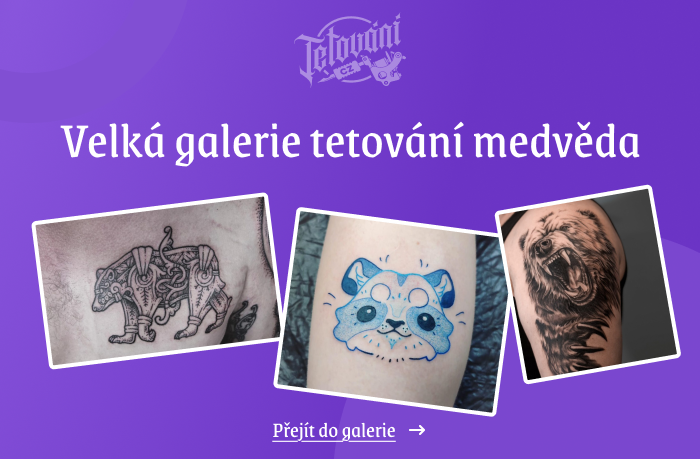  tetovaní medvěda galerie 1