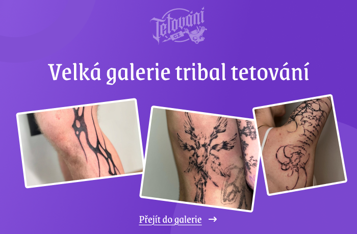  tetovaní tribal galerie 1