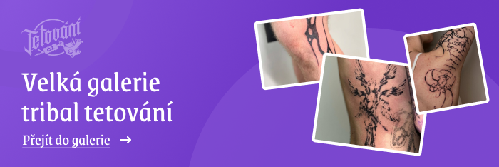 tetovaní tribal galerie 2