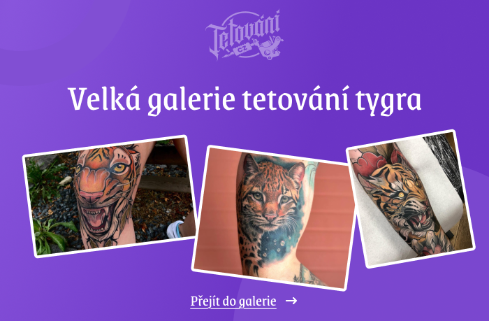  tetovaní tygra galerie 1
