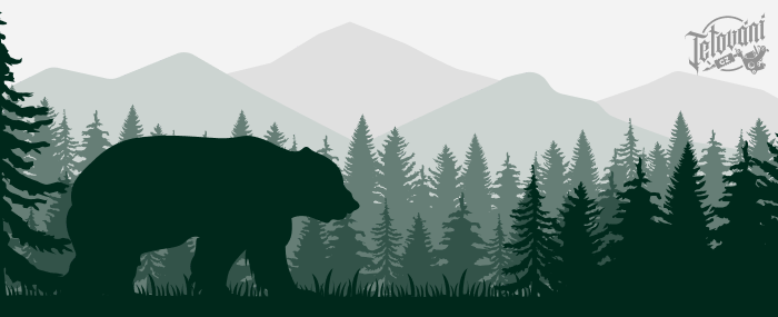 Význam tetování medvěda