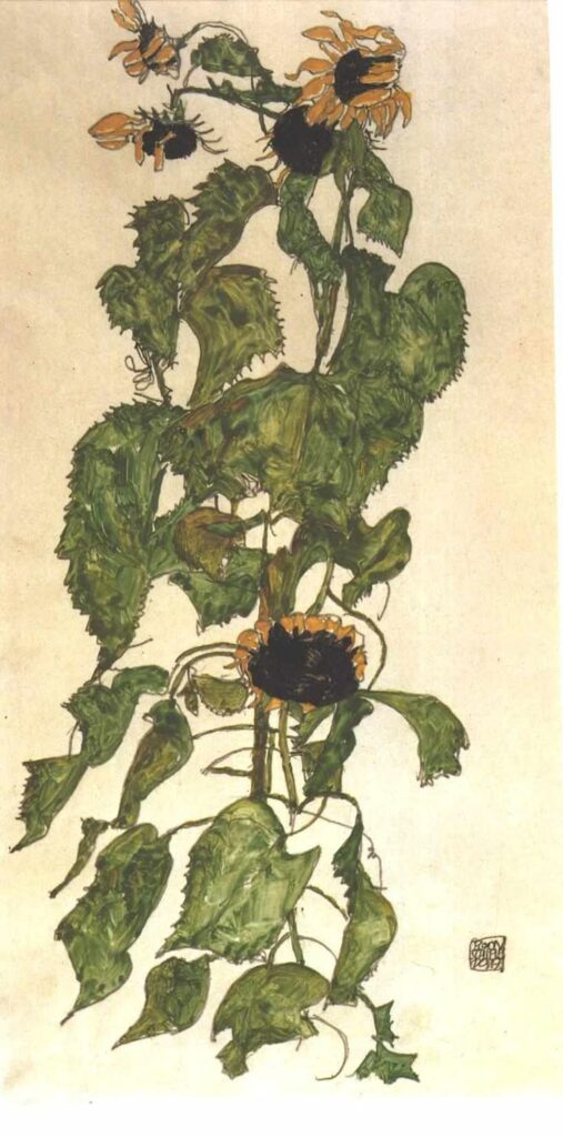 Obraz slunečnic od Egon Schiele.