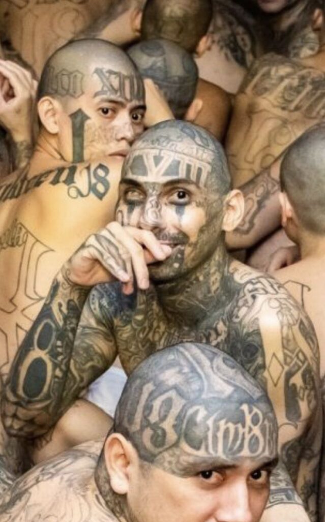 Člen gangu celý potetovaný.