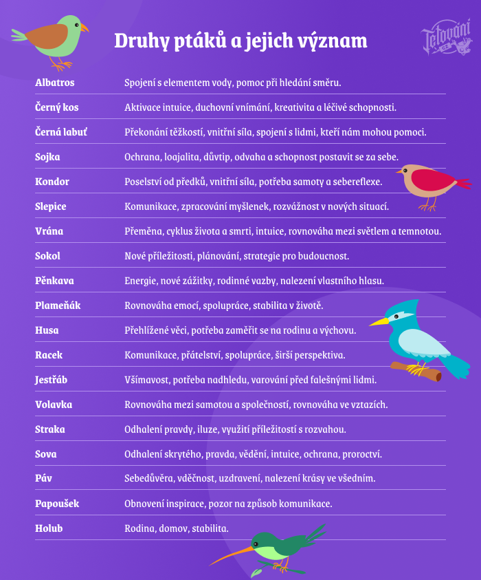 Druhy tetování ptáčka