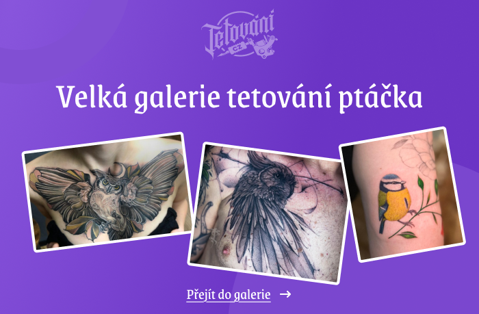  tetovaní ptáčka galerie 1