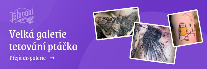  tetovaní ptáčka galerie 2