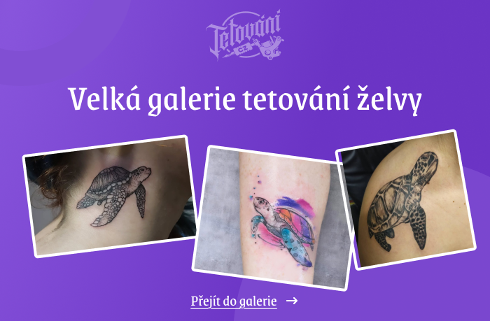  tetovaní želvy galerie 1